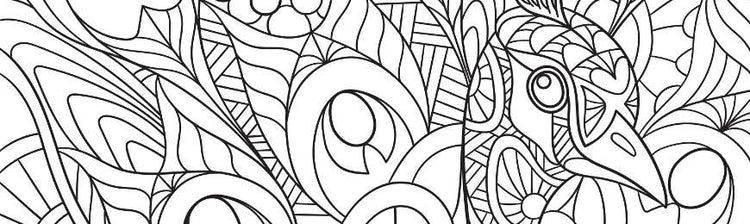 Adult Colouring In by Wall Art Prints