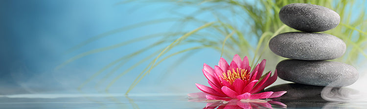 Zen Art by Wall Art Prints