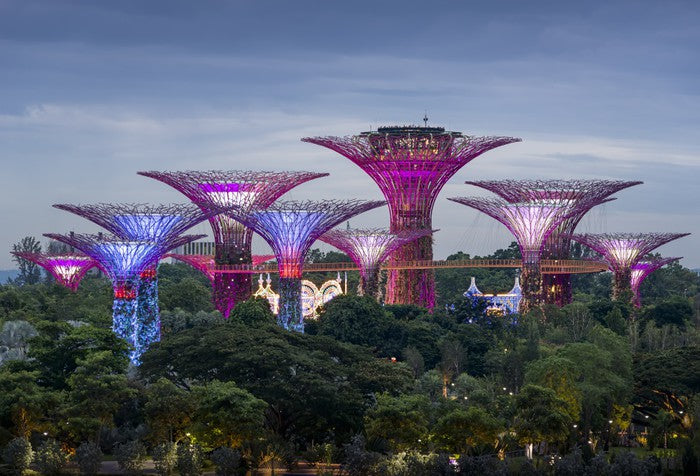Gardens by the bay
