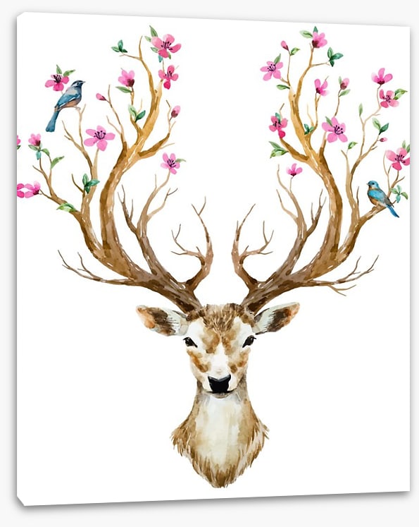 Spring deer