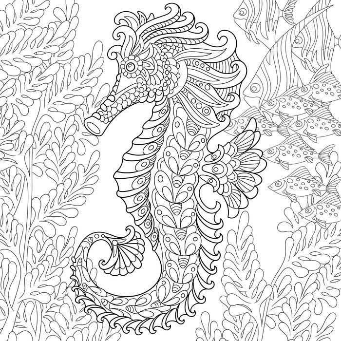 Colour me seahorse