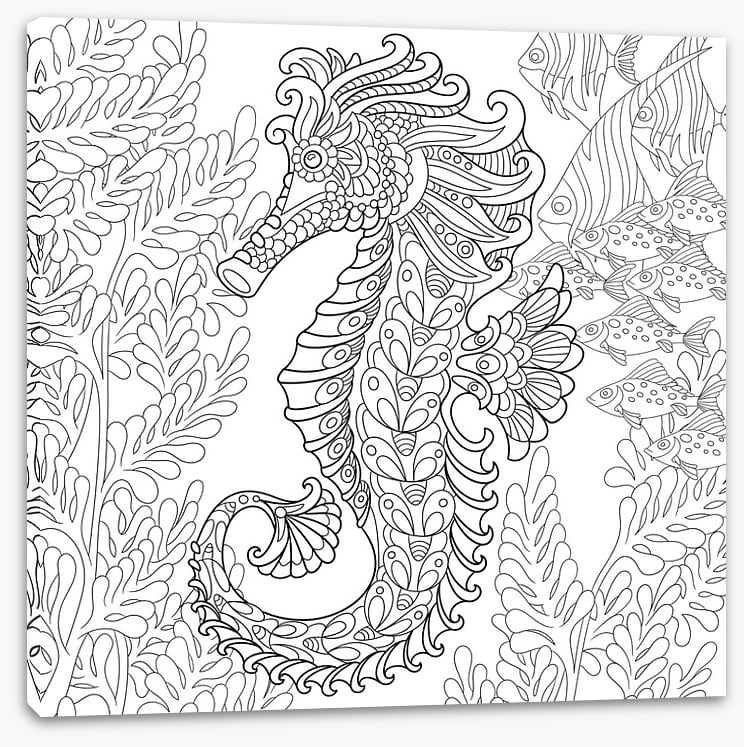 Colour me seahorse