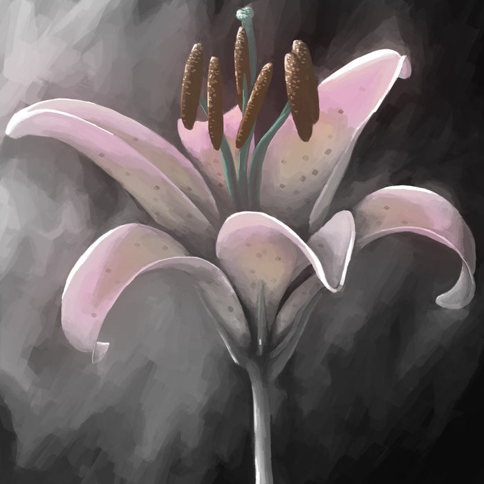 Lily delight