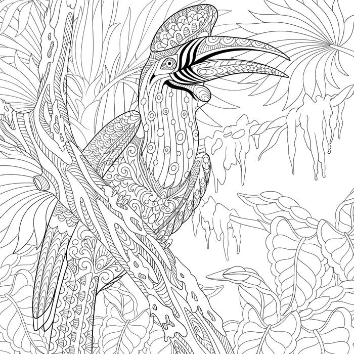 Colour me hornbill