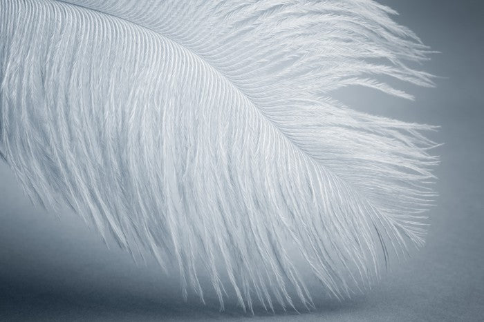 Feather soft