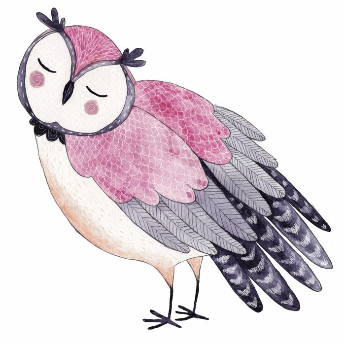 Owls