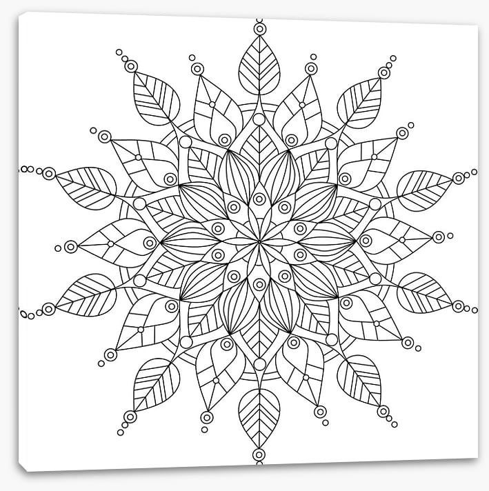 Colour me snowflake