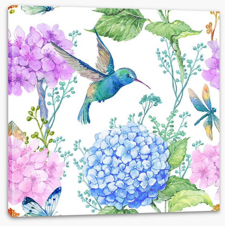 Hummingbird hydrangeas