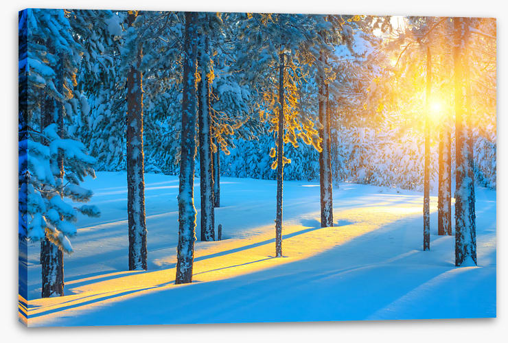 Sunbeam in the snow