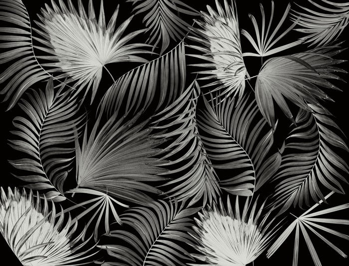 Palms in the dark