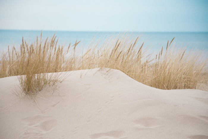 Sandgrass shores