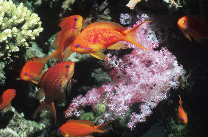 Underwater