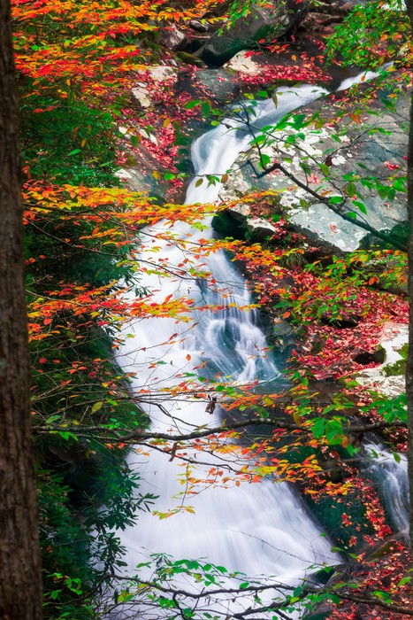 Rivers