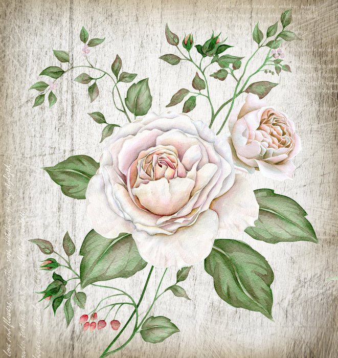 Tea rose two