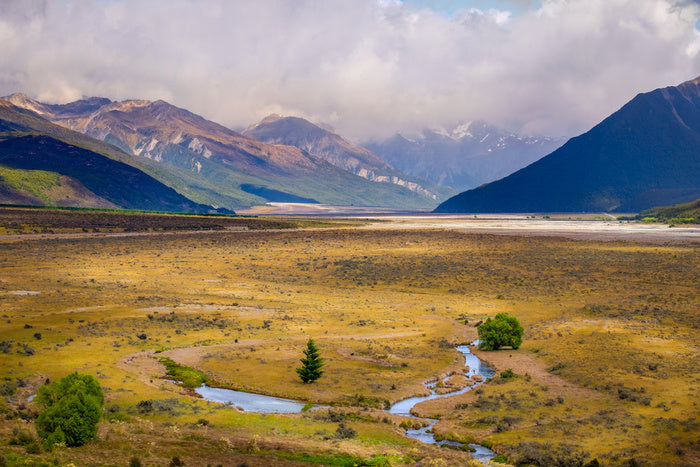 New Zealand