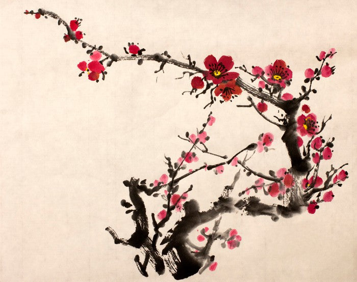 Red plum blossom