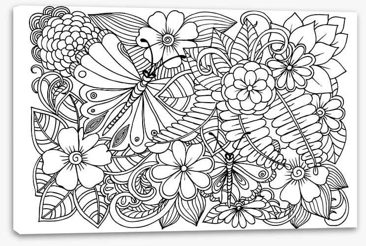 Colour me garden