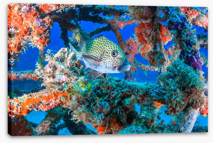 Underwater