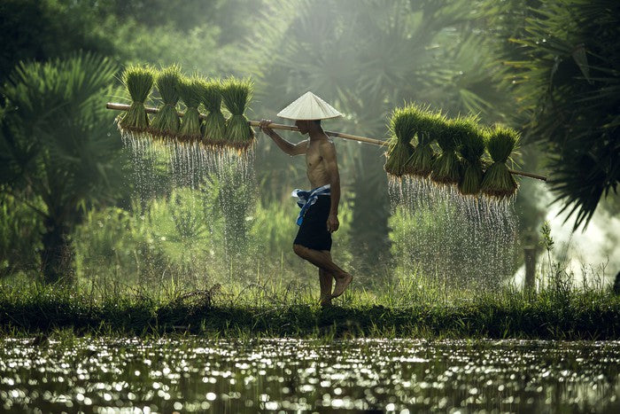 Asia