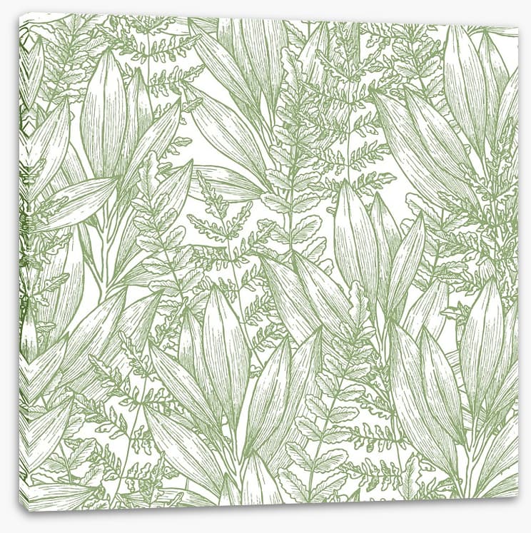 Ferny flora