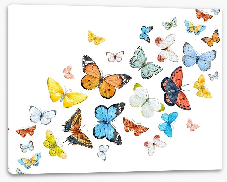 Butterfly flight