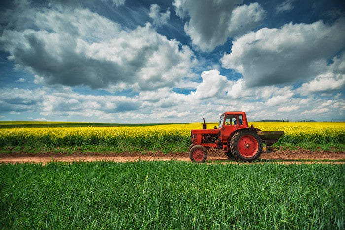 Agriculture
