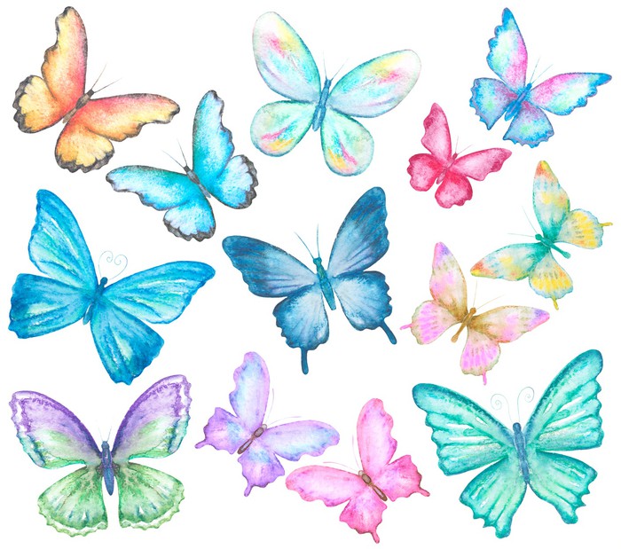 Butterflies