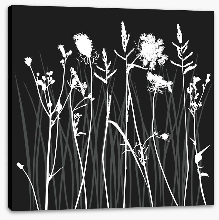 Moonlight silhouettes