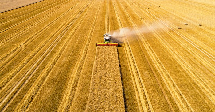 Agriculture