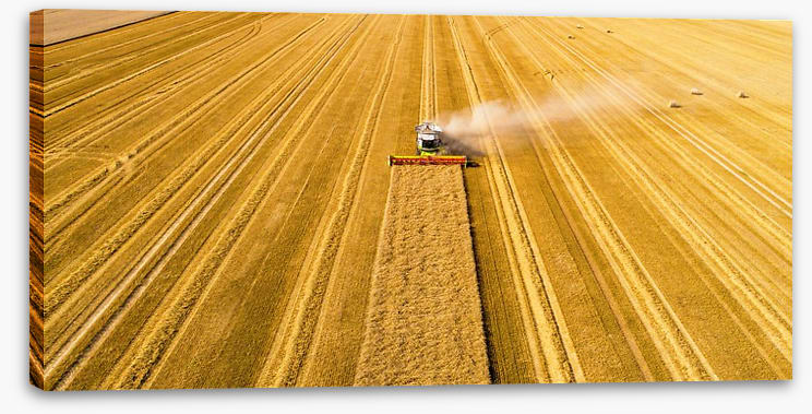 Agriculture