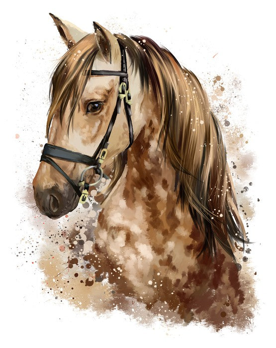 The gentle mare
