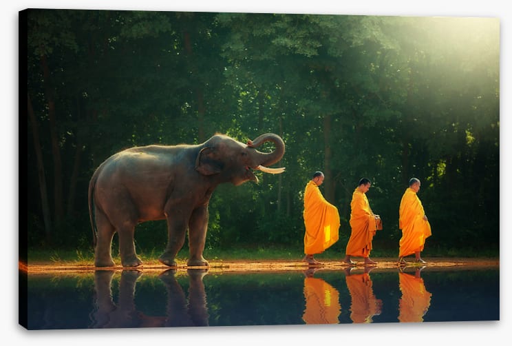 Follow the leader