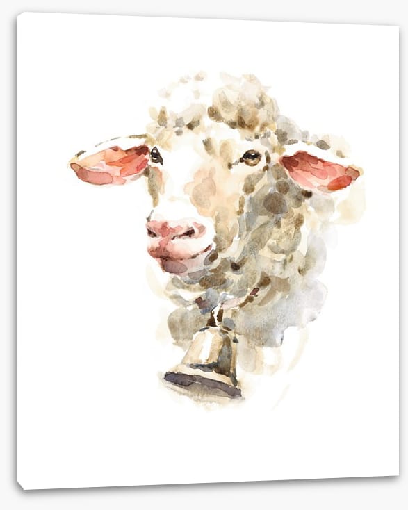 Sally the sheep
