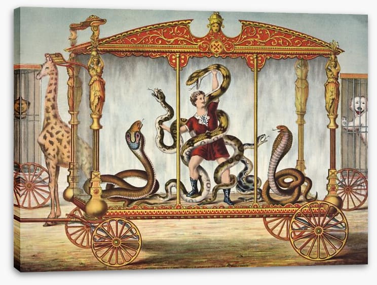 The snake tamer