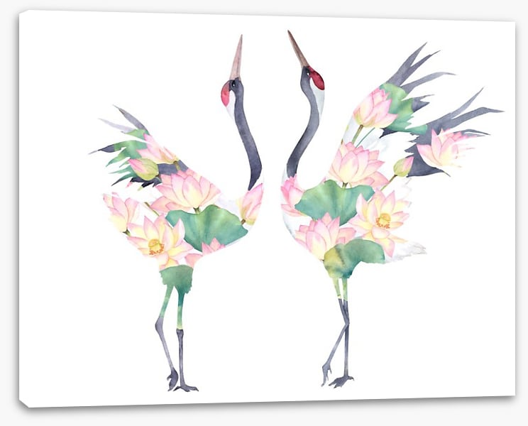 Lotus crane couple