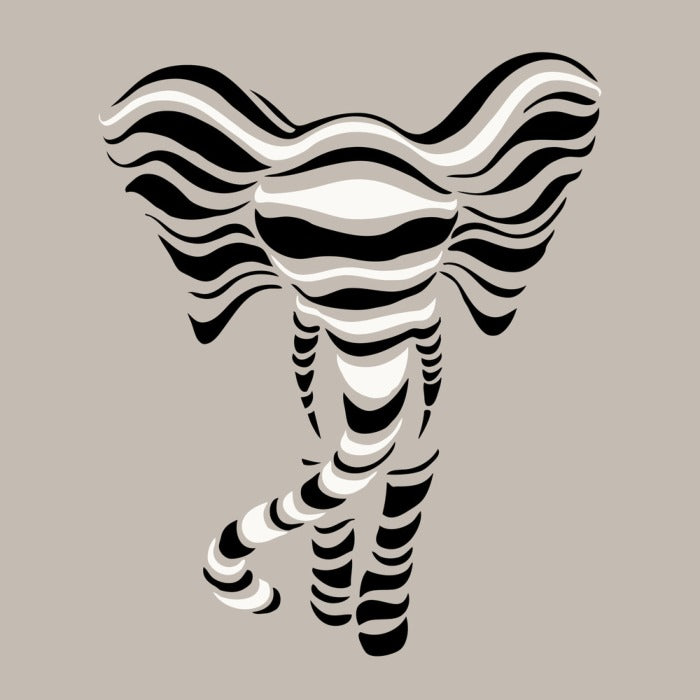Elephant stripes