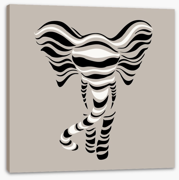 Elephant stripes