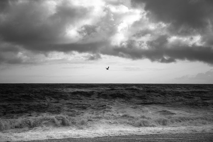 Stormy sea soar