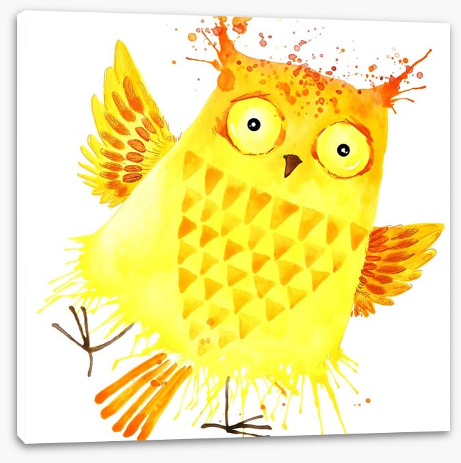 Owls