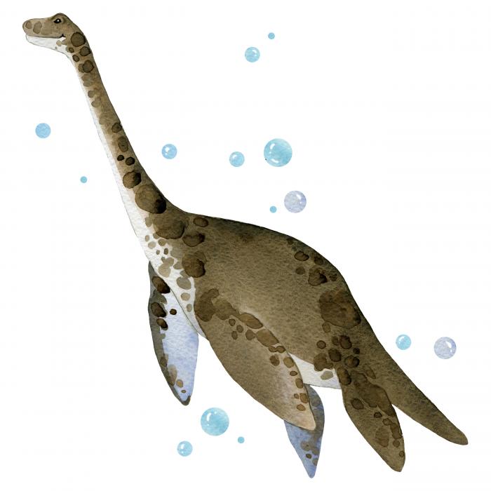 Dinosaurs