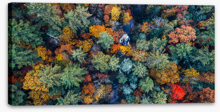 Above autumn