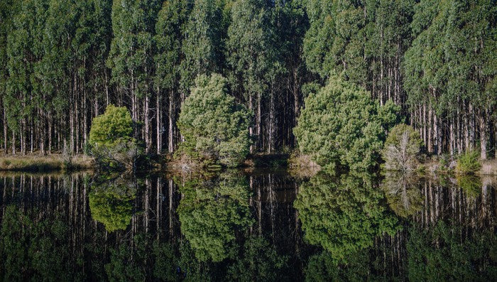 Tasmania
