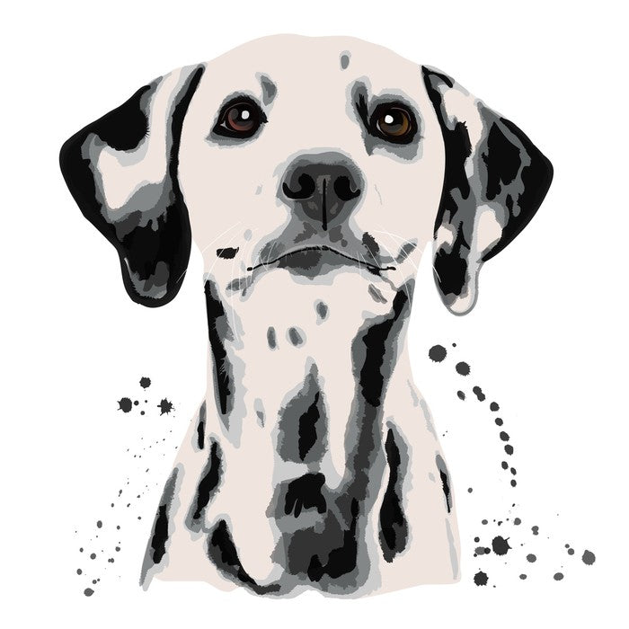 Dots off a dalmatian