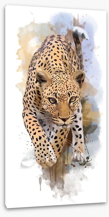Stalking leopard