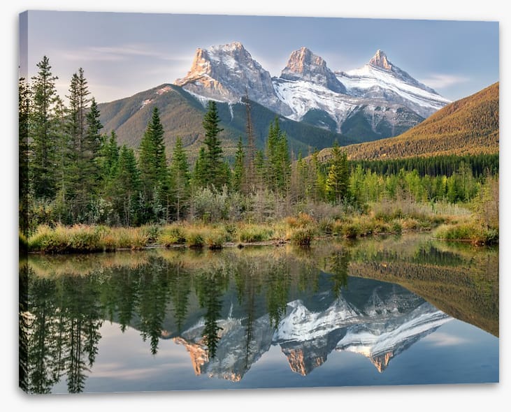 Sisterly reflections