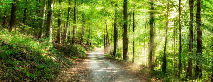 Sun ray road