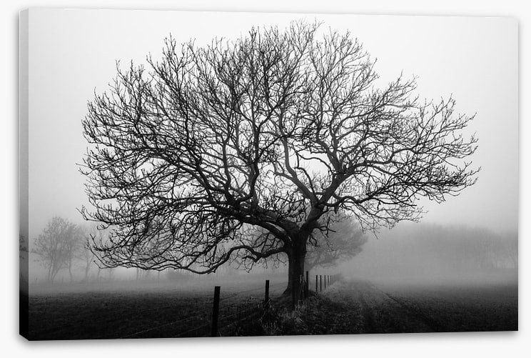 Bare bones