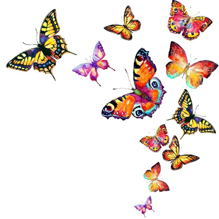 Butterflies