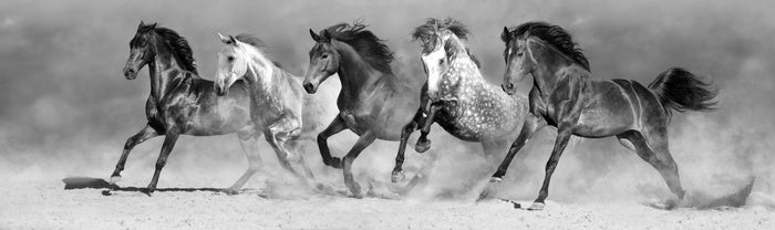 In stride panorama