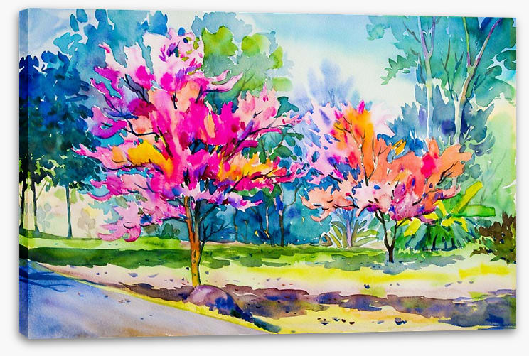 The cherry blossom lane